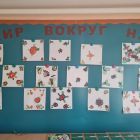 IMG-20231117-WA0010.jpg
